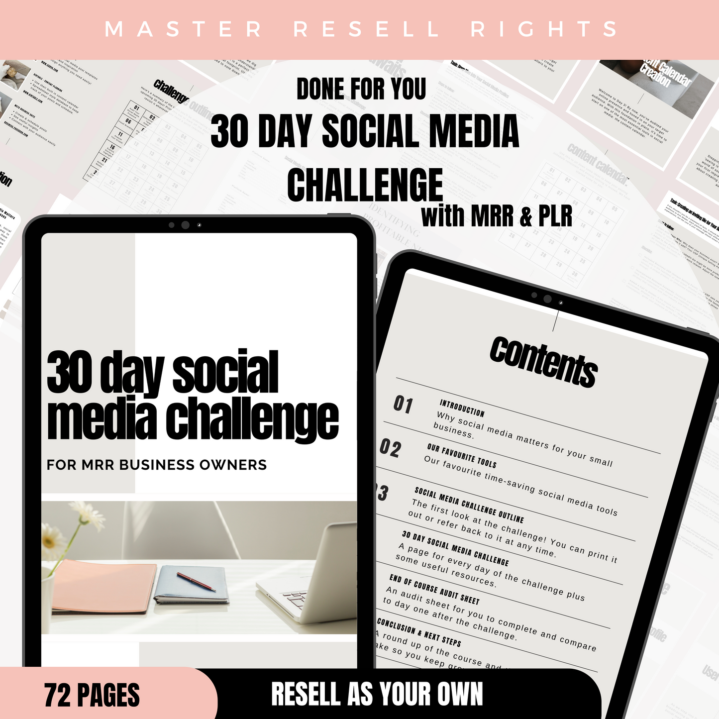 30 Day Social Media Challenge with MRR & PLR